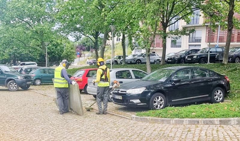 castelo-branco-corte-de-relva-gera-indignayyo-a-moradores-que-denunciam-falta-de-cuidados-por-parte-da-silvapor----