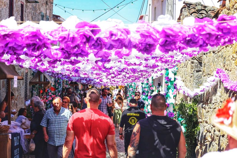 Idanha-a-Nova: Flores de Aldeia de Santa Margarida deslumbram visitantes