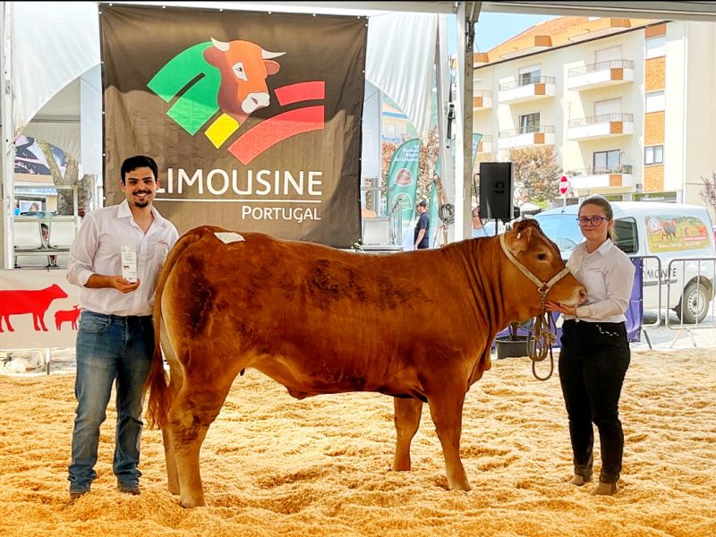 Castelo Branco: Escola AgrÃ¡ria destaca-se na IV Feira de InovaÃ§Ã£o AgrÃ­cola do FundÃ£o