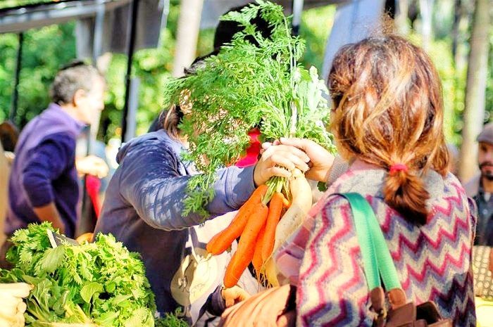 SertÃ£: Mercado Municipal recebe Ecomercado a 3 de Agosto