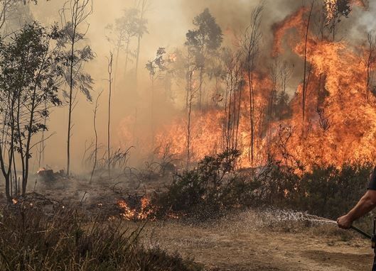 Incêndios consumiram 3.000 hectares em Penamacor e Idanha-a-Nova