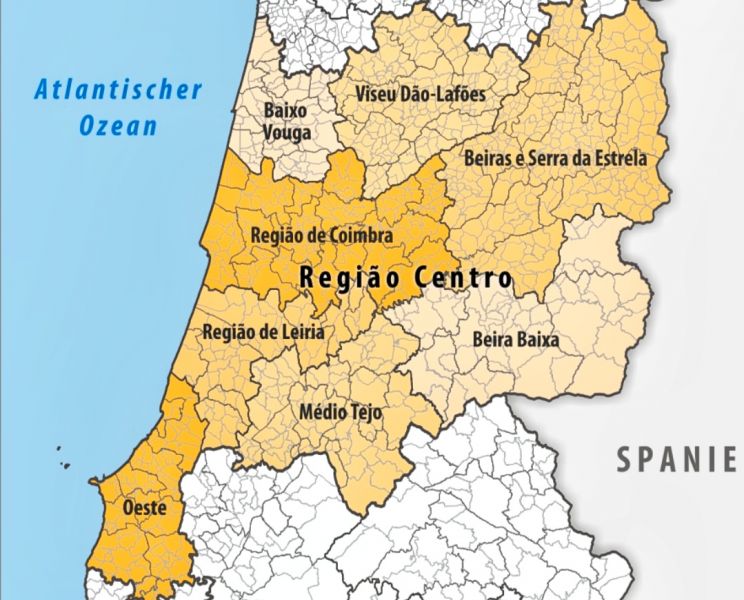 centro-2030-abre-concurso-para-apoiar-investimento-empresarial-em-territyrios-de-baixa-densidade