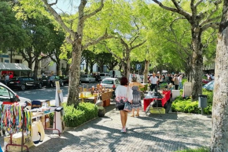 castelo-branco-recebe-grande-feira-de-veryo---colecionismo-a-17-de-agosto
