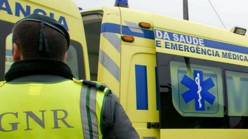 Idanha-a-Nova: Despiste fere idosa no Ladoeiro

 