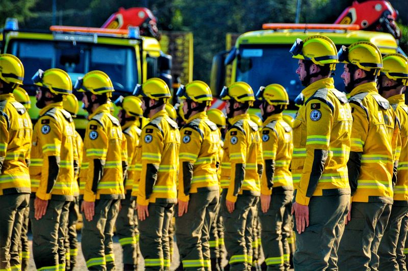 icnf-abre-concurso-para-10-vagas-de-sapadores-bombeiros-florestais-em-proenya-a-nova