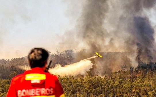 Incêndios: Fogos em Pedrógão Grande já chegaram à Sertã